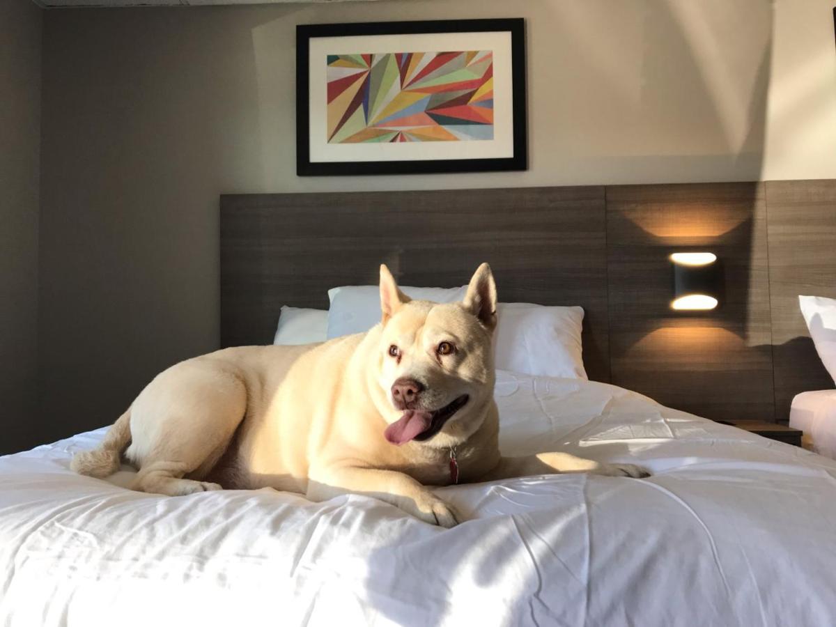 The Elmwood Motel Waterville Bagian luar foto